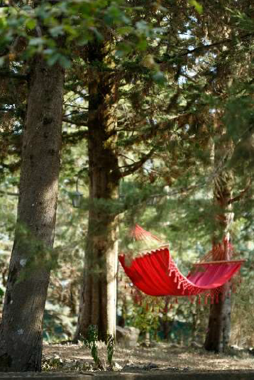 Hammock Storage